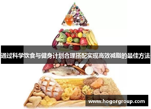 通过科学饮食与健身计划合理搭配实现高效减脂的最佳方法